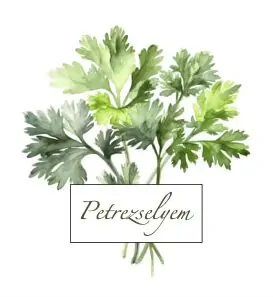 Petrezselyem logó